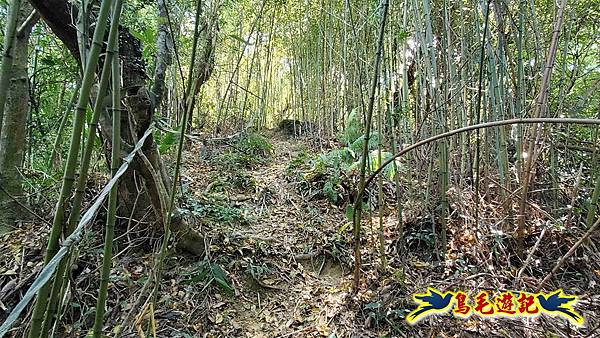 汐止八連小溪環峰連走 (68).jpg