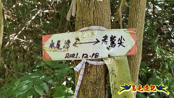 汐止八連小溪環峰連走 (73).jpg