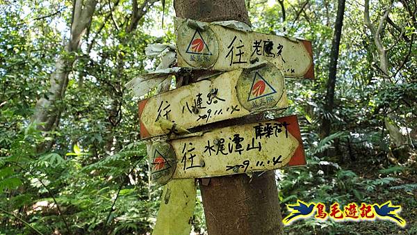 汐止八連小溪環峰連走 (77).jpg