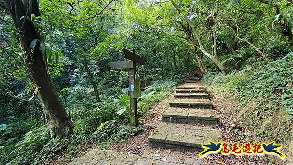 更寮古道土庫岳山豬窟尖O形 (6).jpg 更寮古道土庫岳山豬窟尖O形 (6).jpg