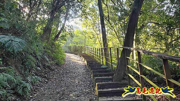 更寮古道土庫岳山豬窟尖O形 (3).jpg