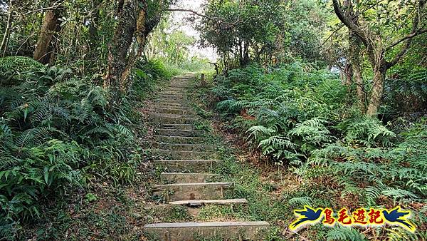 更寮古道土庫岳山豬窟尖O形 (12).jpg 更寮古道土庫岳山豬窟尖O形 (12).jpg