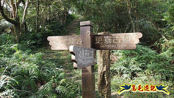 更寮古道土庫岳山豬窟尖O形 (11).jpg