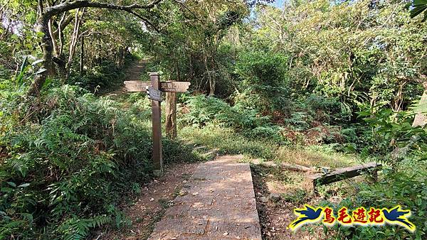 更寮古道土庫岳山豬窟尖O形 (10).jpg 更寮古道土庫岳山豬窟尖O形 (10).jpg