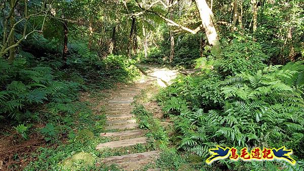 更寮古道土庫岳山豬窟尖O形 (20).jpg 更寮古道土庫岳山豬窟尖O形 (20).jpg