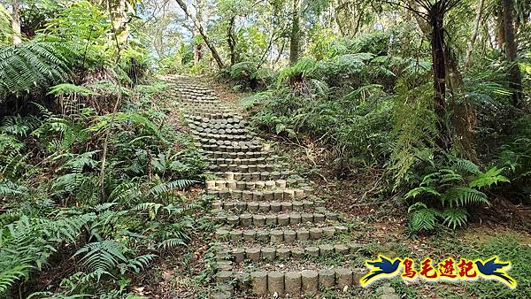 更寮古道土庫岳山豬窟尖O形 (22).jpg 更寮古道土庫岳山豬窟尖O形 (22).jpg