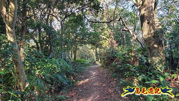 更寮古道土庫岳山豬窟尖O形 (23).jpg