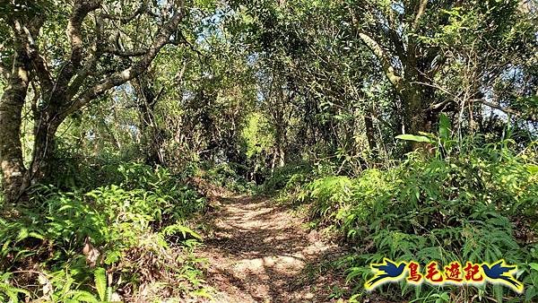 更寮古道土庫岳山豬窟尖O形 (25).jpg