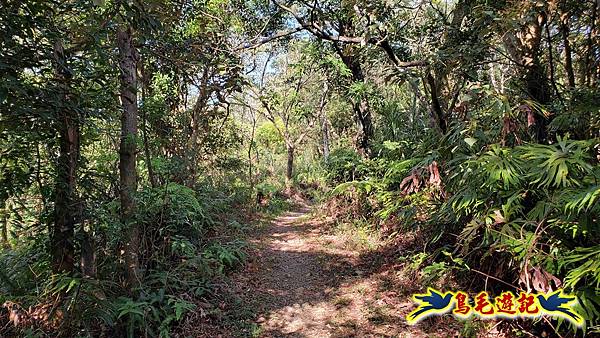 更寮古道土庫岳山豬窟尖O形 (24).jpg 更寮古道土庫岳山豬窟尖O形 (24).jpg