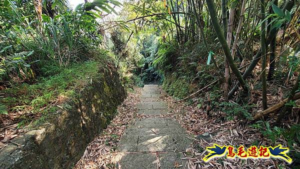 更寮古道土庫岳山豬窟尖O形 (30).jpg 更寮古道土庫岳山豬窟尖O形 (30).jpg