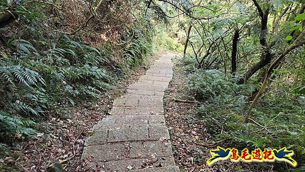 更寮古道土庫岳山豬窟尖O形 (31).jpg