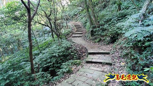 更寮古道土庫岳山豬窟尖O形 (32).jpg 更寮古道土庫岳山豬窟尖O形 (32).jpg