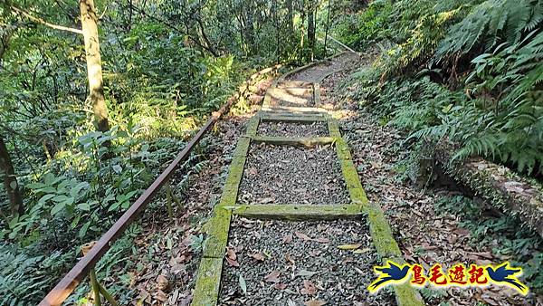 更寮古道土庫岳山豬窟尖O形 (38).jpg 更寮古道土庫岳山豬窟尖O形 (38).jpg