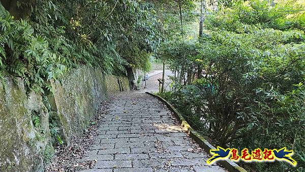 更寮古道土庫岳山豬窟尖O形 (43).jpg 更寮古道土庫岳山豬窟尖O形 (43).jpg