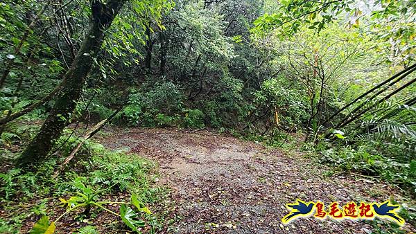 中坑橋-中坑西山尾稜-中坑西山-內盤山坑古道-新興宮O形 (6).jpg 中坑橋-中坑西山尾稜-中坑西山-內盤山坑古道-新興宮O形 (6).jpg