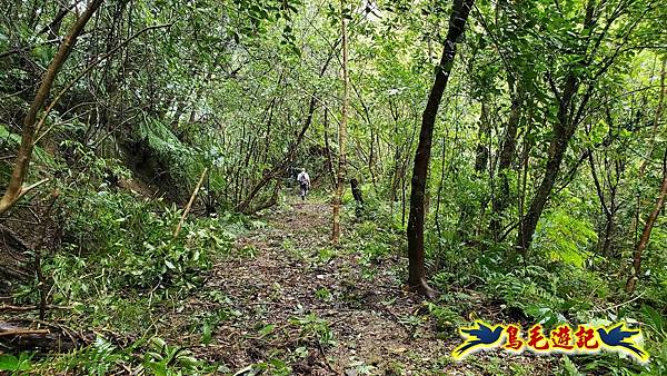 中坑橋-中坑西山尾稜-中坑西山-內盤山坑古道-新興宮O形 (8).jpg 中坑橋-中坑西山尾稜-中坑西山-內盤山坑古道-新興宮O形 (8).jpg
