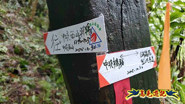 中坑橋-中坑西山尾稜-中坑西山-內盤山坑古道-新興宮O形 (10).jpg 中坑橋-中坑西山尾稜-中坑西山-內盤山坑古道-新興宮O形 (10).jpg