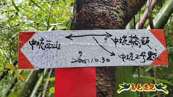 中坑橋-中坑西山尾稜-中坑西山-內盤山坑古道-新興宮O形 (7).jpg