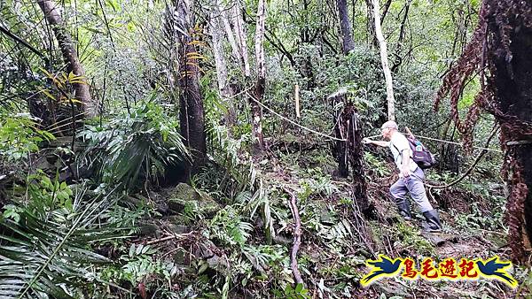 中坑橋-中坑西山尾稜-中坑西山-內盤山坑古道-新興宮O形 (11).jpg