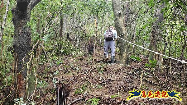中坑橋-中坑西山尾稜-中坑西山-內盤山坑古道-新興宮O形 (15).jpg