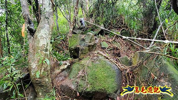 中坑橋-中坑西山尾稜-中坑西山-內盤山坑古道-新興宮O形 (14).jpg 中坑橋-中坑西山尾稜-中坑西山-內盤山坑古道-新興宮O形 (14).jpg