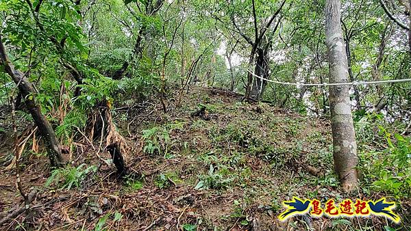 中坑橋-中坑西山尾稜-中坑西山-內盤山坑古道-新興宮O形 (16).jpg 中坑橋-中坑西山尾稜-中坑西山-內盤山坑古道-新興宮O形 (16).jpg