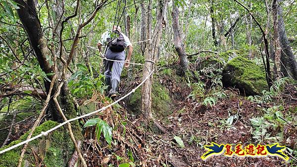 中坑橋-中坑西山尾稜-中坑西山-內盤山坑古道-新興宮O形 (20).jpg 中坑橋-中坑西山尾稜-中坑西山-內盤山坑古道-新興宮O形 (20).jpg