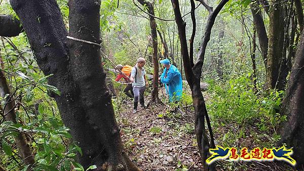 中坑橋-中坑西山尾稜-中坑西山-內盤山坑古道-新興宮O形 (23).jpg