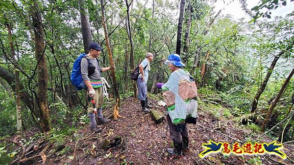 中坑橋-中坑西山尾稜-中坑西山-內盤山坑古道-新興宮O形 (21).jpg