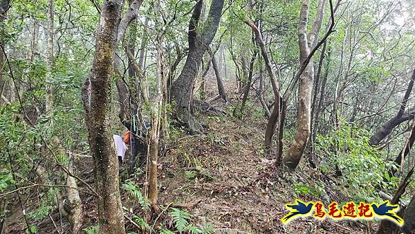 中坑橋-中坑西山尾稜-中坑西山-內盤山坑古道-新興宮O形 (24).jpg 中坑橋-中坑西山尾稜-中坑西山-內盤山坑古道-新興宮O形 (24).jpg