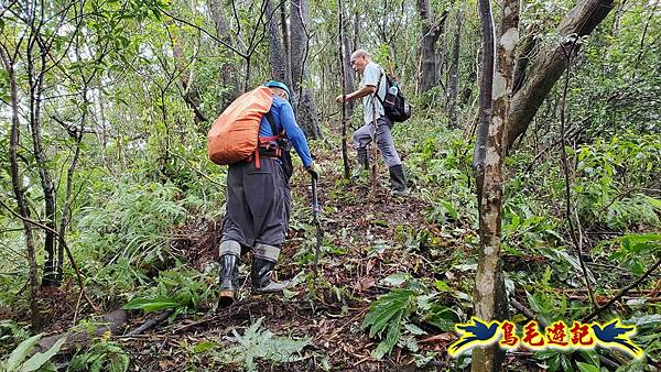 中坑橋-中坑西山尾稜-中坑西山-內盤山坑古道-新興宮O形 (25).jpg