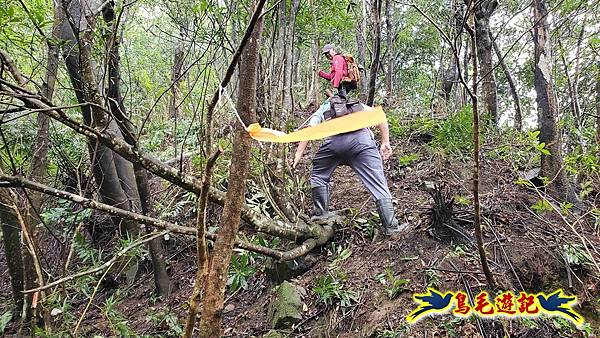 中坑橋-中坑西山尾稜-中坑西山-內盤山坑古道-新興宮O形 (27).jpg