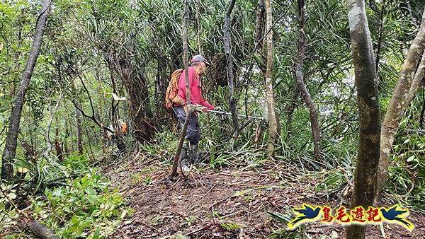 中坑橋-中坑西山尾稜-中坑西山-內盤山坑古道-新興宮O形 (28).jpg 中坑橋-中坑西山尾稜-中坑西山-內盤山坑古道-新興宮O形 (28).jpg