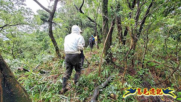 中坑橋-中坑西山尾稜-中坑西山-內盤山坑古道-新興宮O形 (29).jpg