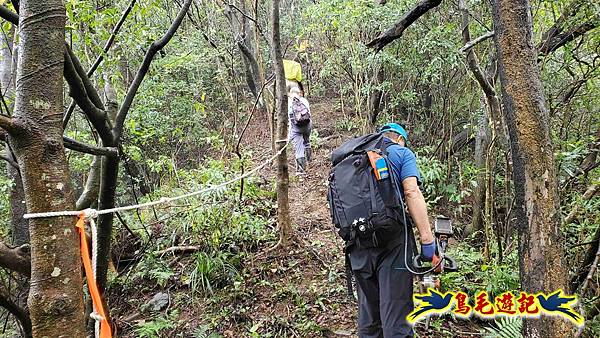 中坑橋-中坑西山尾稜-中坑西山-內盤山坑古道-新興宮O形 (30).jpg 中坑橋-中坑西山尾稜-中坑西山-內盤山坑古道-新興宮O形 (30).jpg