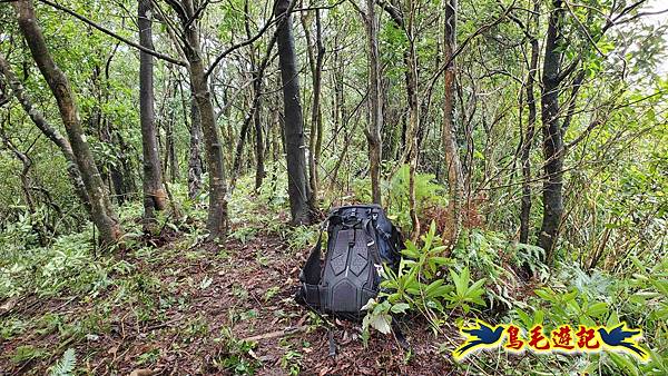 中坑橋-中坑西山尾稜-中坑西山-內盤山坑古道-新興宮O形 (31).jpg