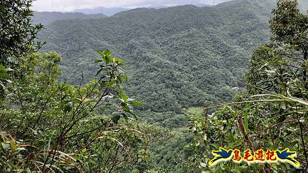中坑橋-中坑西山尾稜-中坑西山-內盤山坑古道-新興宮O形 (34).jpg 中坑橋-中坑西山尾稜-中坑西山-內盤山坑古道-新興宮O形 (34).jpg