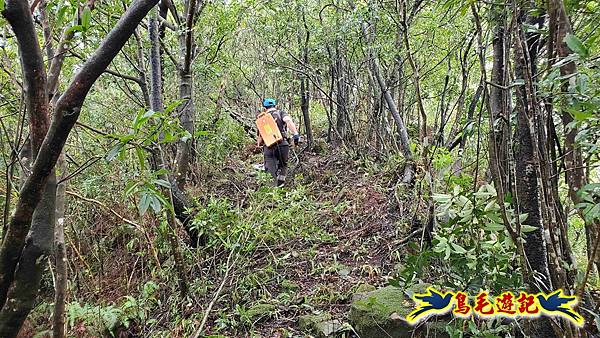 中坑橋-中坑西山尾稜-中坑西山-內盤山坑古道-新興宮O形 (33).jpg