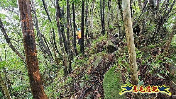 中坑橋-中坑西山尾稜-中坑西山-內盤山坑古道-新興宮O形 (32).jpg 中坑橋-中坑西山尾稜-中坑西山-內盤山坑古道-新興宮O形 (32).jpg
