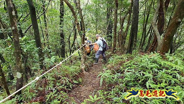 中坑橋-中坑西山尾稜-中坑西山-內盤山坑古道-新興宮O形 (41).jpg 中坑橋-中坑西山尾稜-中坑西山-內盤山坑古道-新興宮O形 (41).jpg