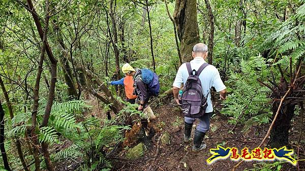 中坑橋-中坑西山尾稜-中坑西山-內盤山坑古道-新興宮O形 (40).jpg