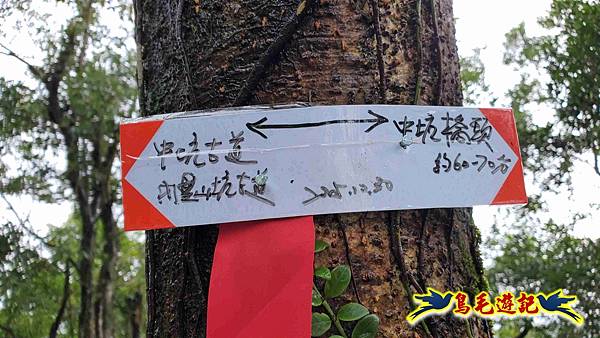 中坑橋-中坑西山尾稜-中坑西山-內盤山坑古道-新興宮O形 (36).jpg 中坑橋-中坑西山尾稜-中坑西山-內盤山坑古道-新興宮O形 (36).jpg