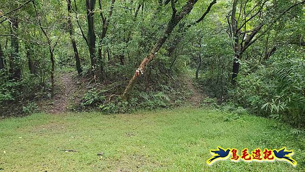 中坑橋-中坑西山尾稜-中坑西山-內盤山坑古道-新興宮O形 (44).jpg