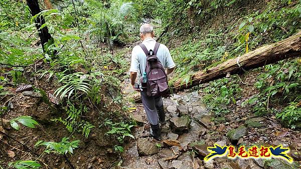 中坑橋-中坑西山尾稜-中坑西山-內盤山坑古道-新興宮O形 (47).jpg 中坑橋-中坑西山尾稜-中坑西山-內盤山坑古道-新興宮O形 (47).jpg