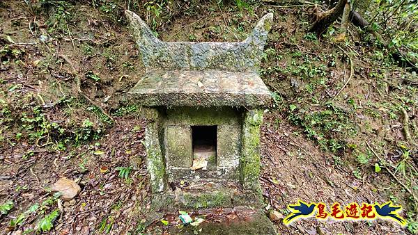 中坑橋-中坑西山尾稜-中坑西山-內盤山坑古道-新興宮O形 (46).jpg