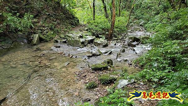 中坑橋-中坑西山尾稜-中坑西山-內盤山坑古道-新興宮O形 (49).jpg 中坑橋-中坑西山尾稜-中坑西山-內盤山坑古道-新興宮O形 (49).jpg