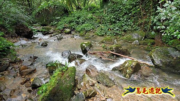 中坑橋-中坑西山尾稜-中坑西山-內盤山坑古道-新興宮O形 (57).jpg 中坑橋-中坑西山尾稜-中坑西山-內盤山坑古道-新興宮O形 (57).jpg