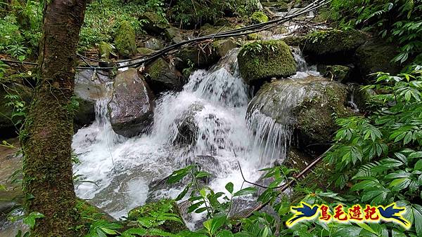中坑橋-中坑西山尾稜-中坑西山-內盤山坑古道-新興宮O形 (56).jpg