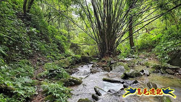 中坑橋-中坑西山尾稜-中坑西山-內盤山坑古道-新興宮O形 (53).jpg