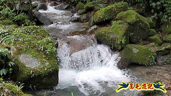 中坑橋-中坑西山尾稜-中坑西山-內盤山坑古道-新興宮O形 (61).jpg 中坑橋-中坑西山尾稜-中坑西山-內盤山坑古道-新興宮O形 (61).jpg